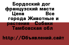 Бордоский дог ( французский масти)  › Цена ­ 50 000 - Все города Животные и растения » Собаки   . Тамбовская обл.